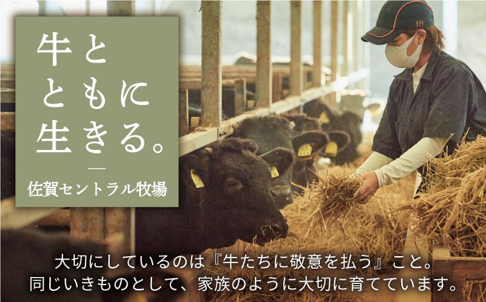 【FARM to TABLE】農場から食卓へ、牧場直送でお届け！