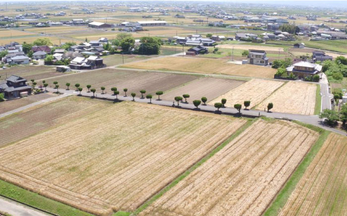 バイリンガル絵本「馳け巡る〜ぼくのまちのやぶさめ〜」【CLUB RIO】 [HBY001] / 絵本 本 えほん バイリンガル