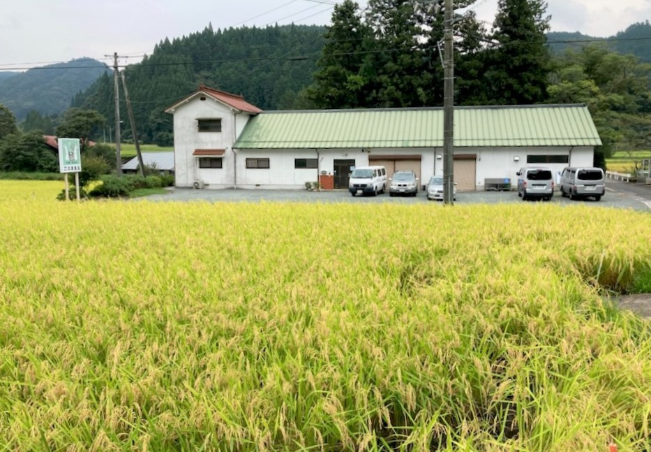 沖津食品もち米。豊かに実ります。