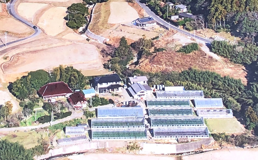 鴨川市内日当たりのいい、山間の地区で9つのハウスによって育てられています。