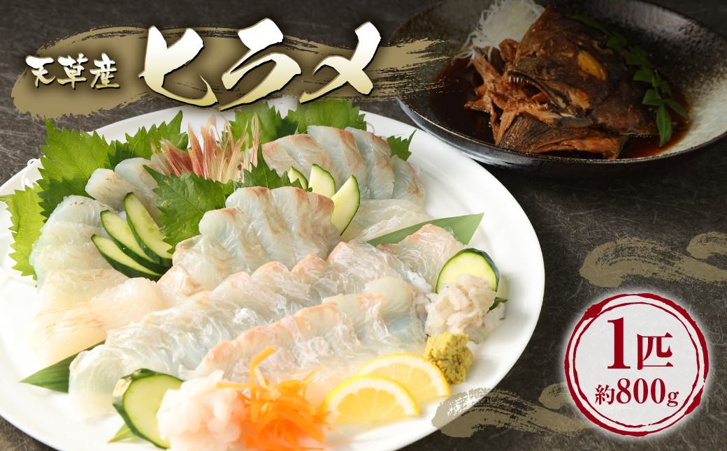 ヒラメ 1匹 約800g