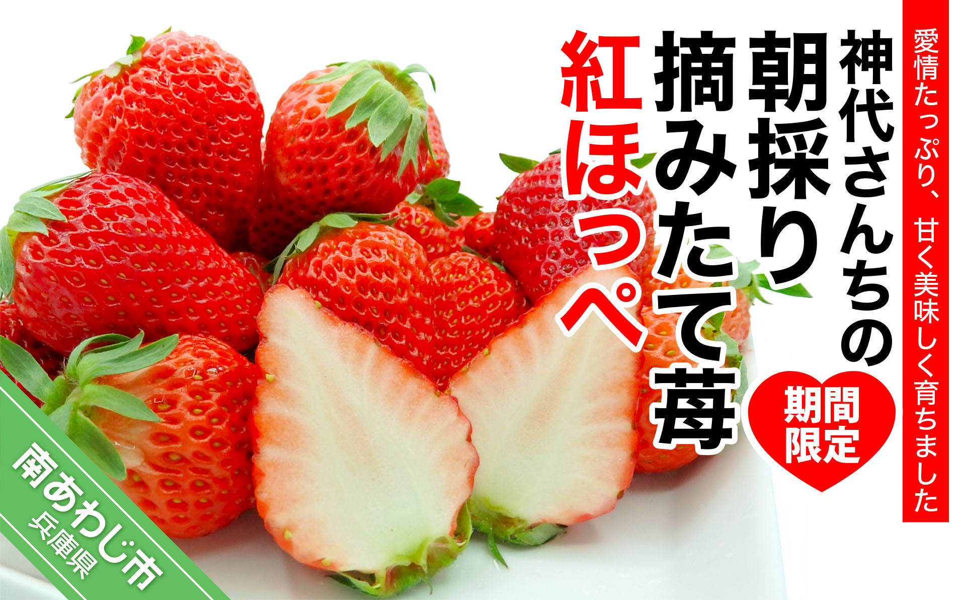 神代さんちの朝採り摘みたていちご　紅ほっぺ