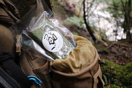 ポケットサイズの若鮎すしです