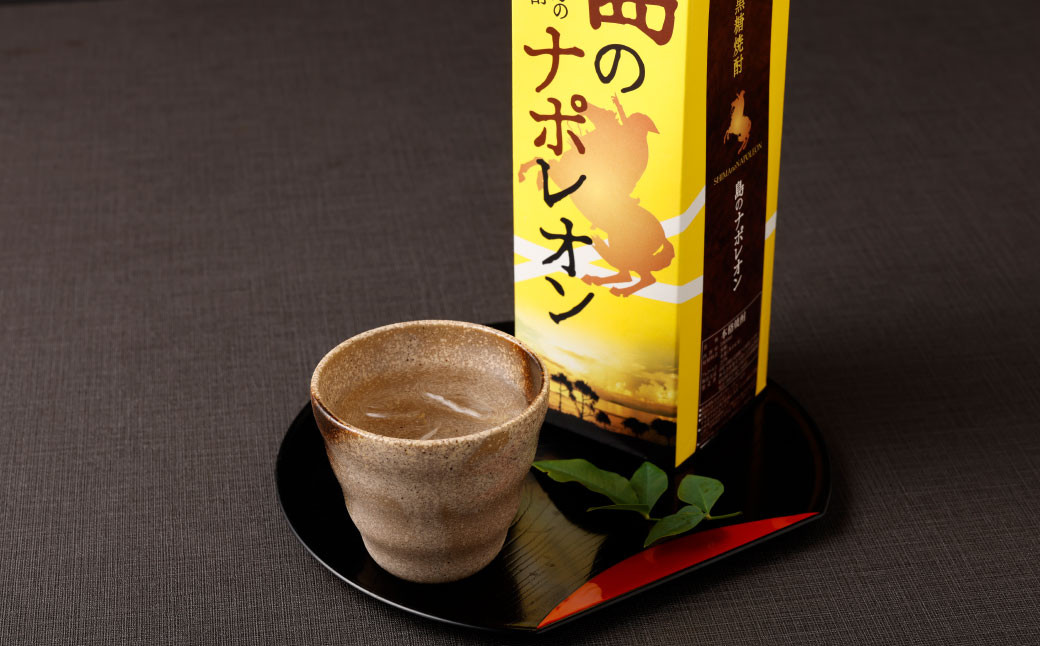 【定期便年6回】黒糖焼酎『島のナポレオン』1800ml×3本セット 計18本 パック