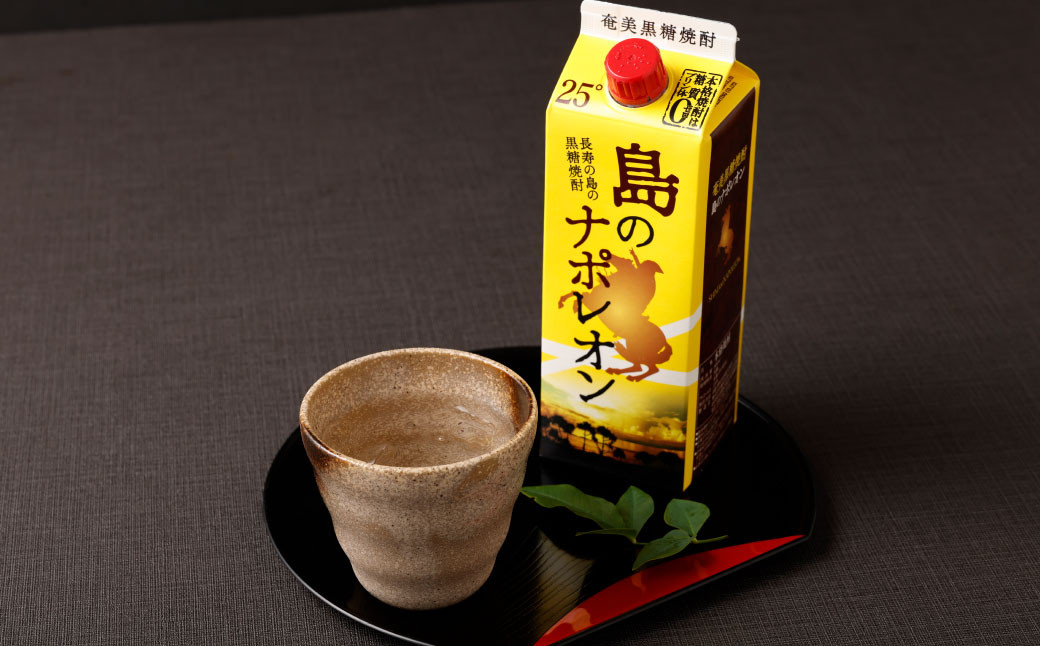 【定期便年3回】黒糖焼酎『島のナポレオン』900ml×3本セット 計9本 パック