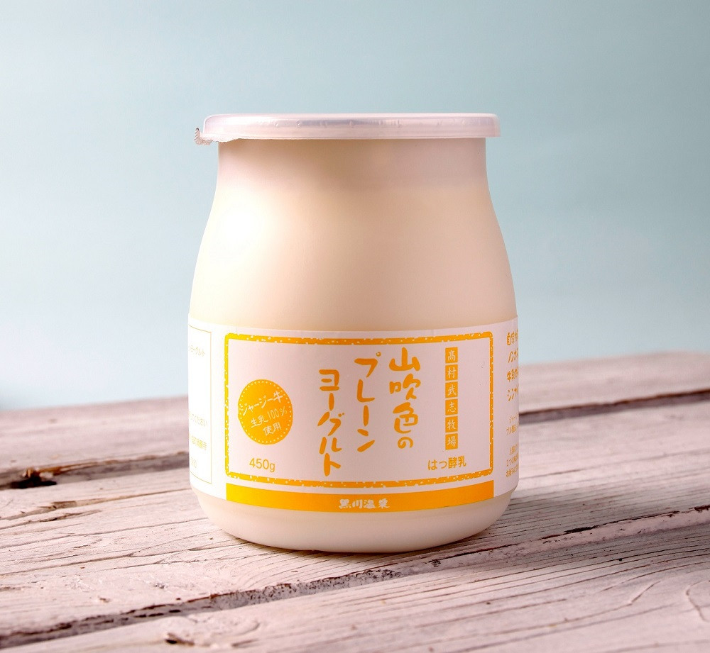 プレーンヨーグルト 450g