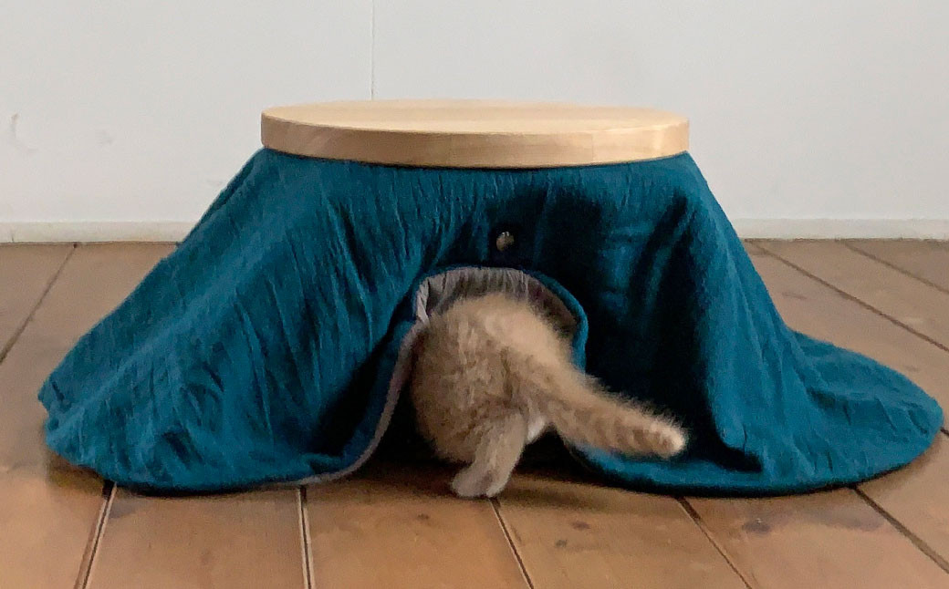 【受注生産】天然オイル仕上「栗の木」ねこたつ(ネイビー) ペット用 こたつ