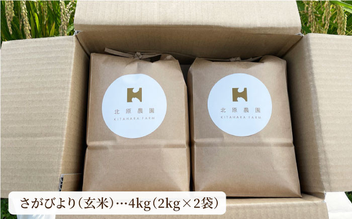 さがびより ( 玄米 ) 4kg【北原農園】[HCA003]