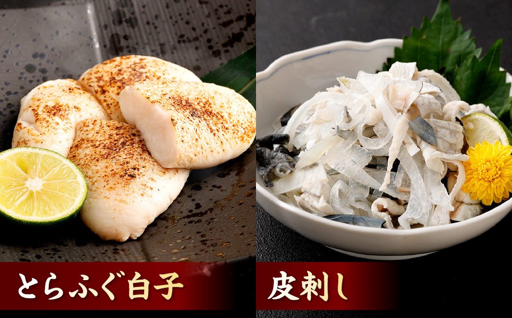 豪華とらふぐ三昧セット※白子付(刺身・鍋4~5人前)