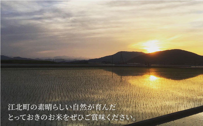 夢しずく ( 玄米 ) 4kg【北原農園】 [HCA001]