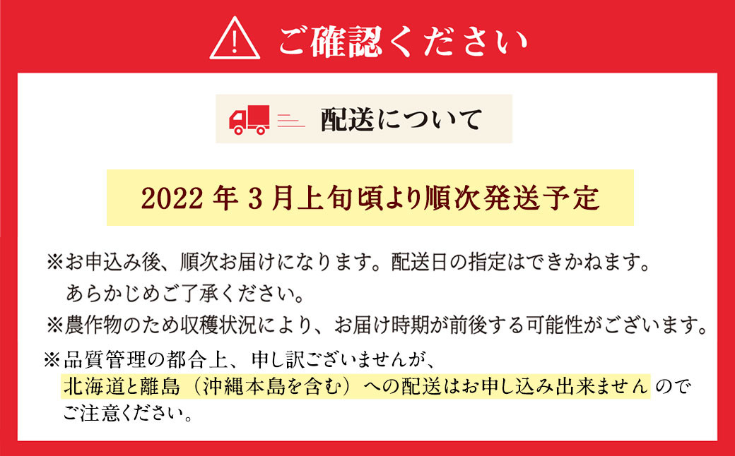 【数量限定】大粒 あまおう 約300g×4パック 計1.2kg いちご