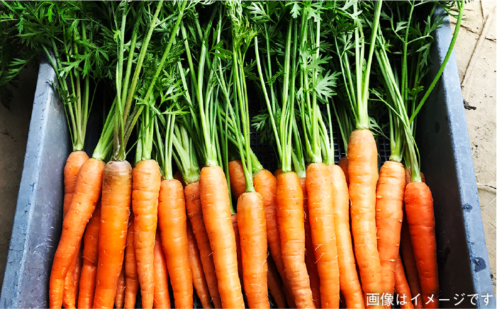 大人気の福袋、季節の旬野菜と糸島の特産加工品を詰め合わせ