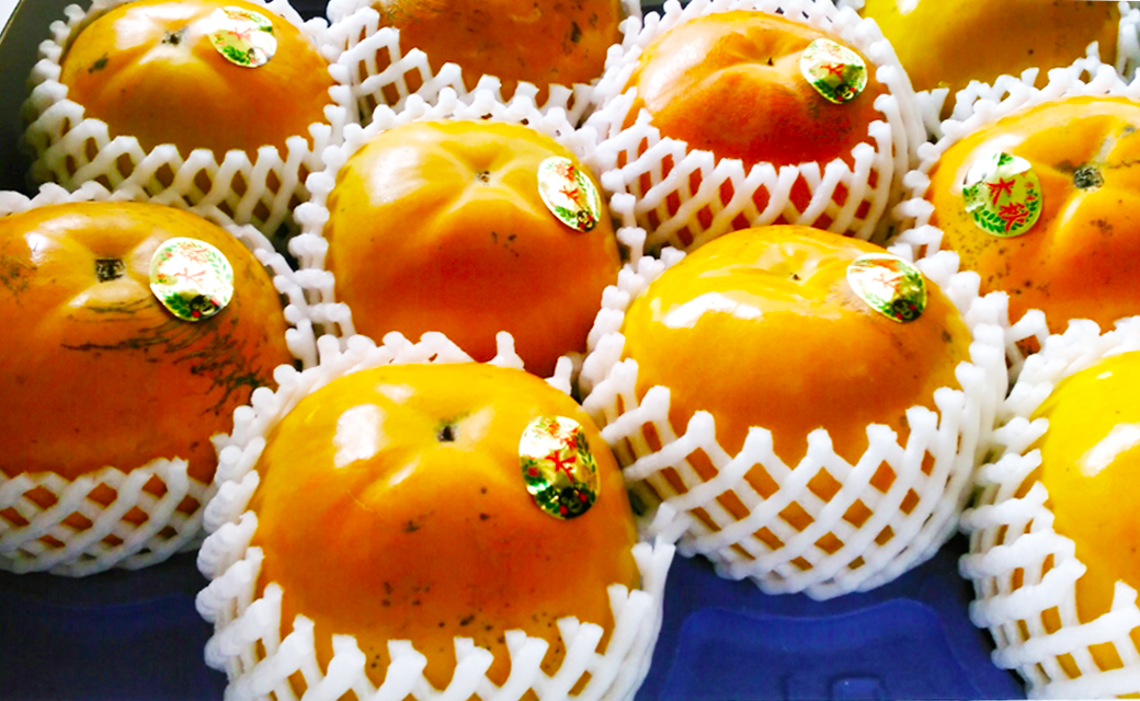 太秋柿 約3kg 8～16玉入り 柿 カキ 太秋 たいしゅう