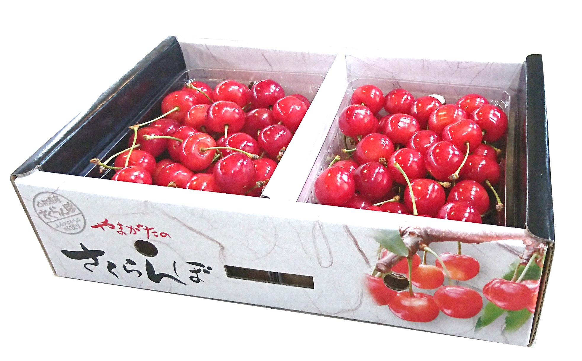 ※画像はイメージです。実際の梱包資材や梱包方法は写真と異なる場合がございます。