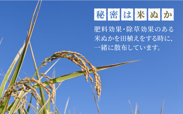 【こだわりの特別栽培米】白米 食べ比べセット 4kg ( 夢しずく さがびより 各2kg ) 