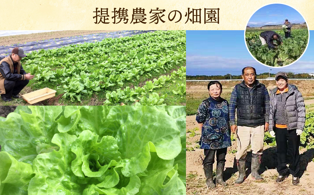 元大使館料理人が作る！瑛翔楼 「匠印」 点心・惣菜 6品セット (豚まん 角煮まん 台湾風チマキ 魯肉飯 鶏団子 豚足)