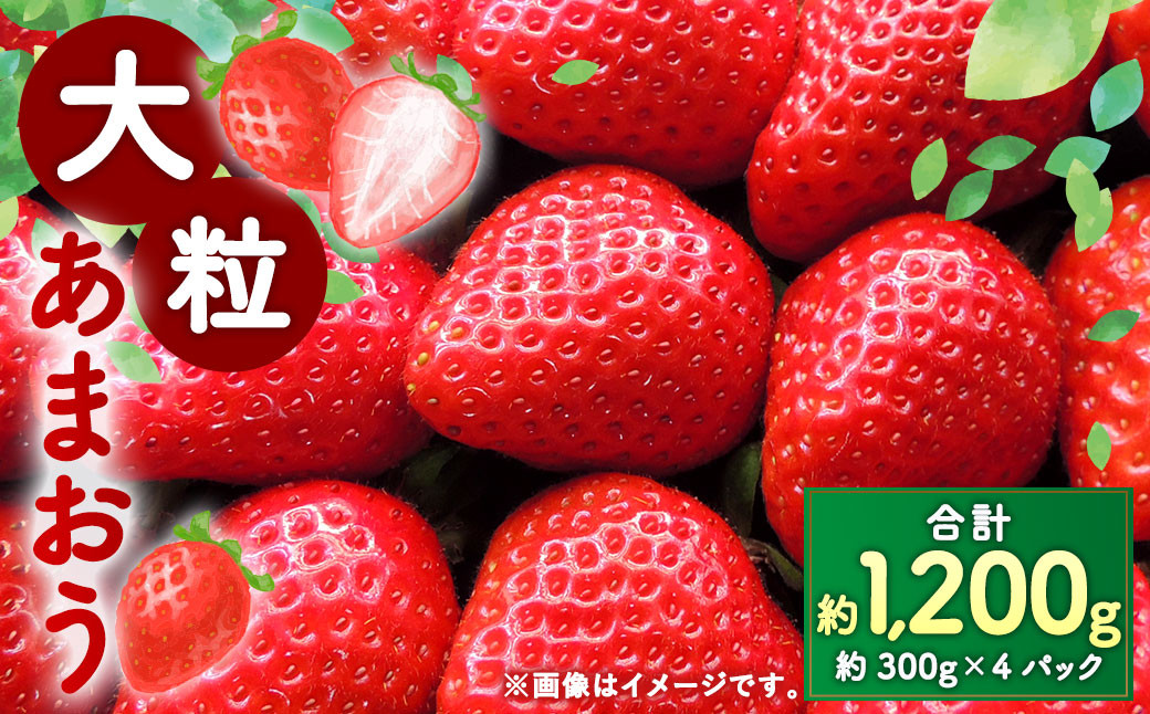 【数量限定】大粒 あまおう 約300g×4パック 計1.2kg いちご