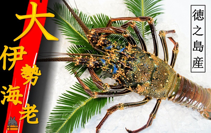 焼いても、お鍋や汁物でも、濃厚な味わいでとっても美味しいですよ！