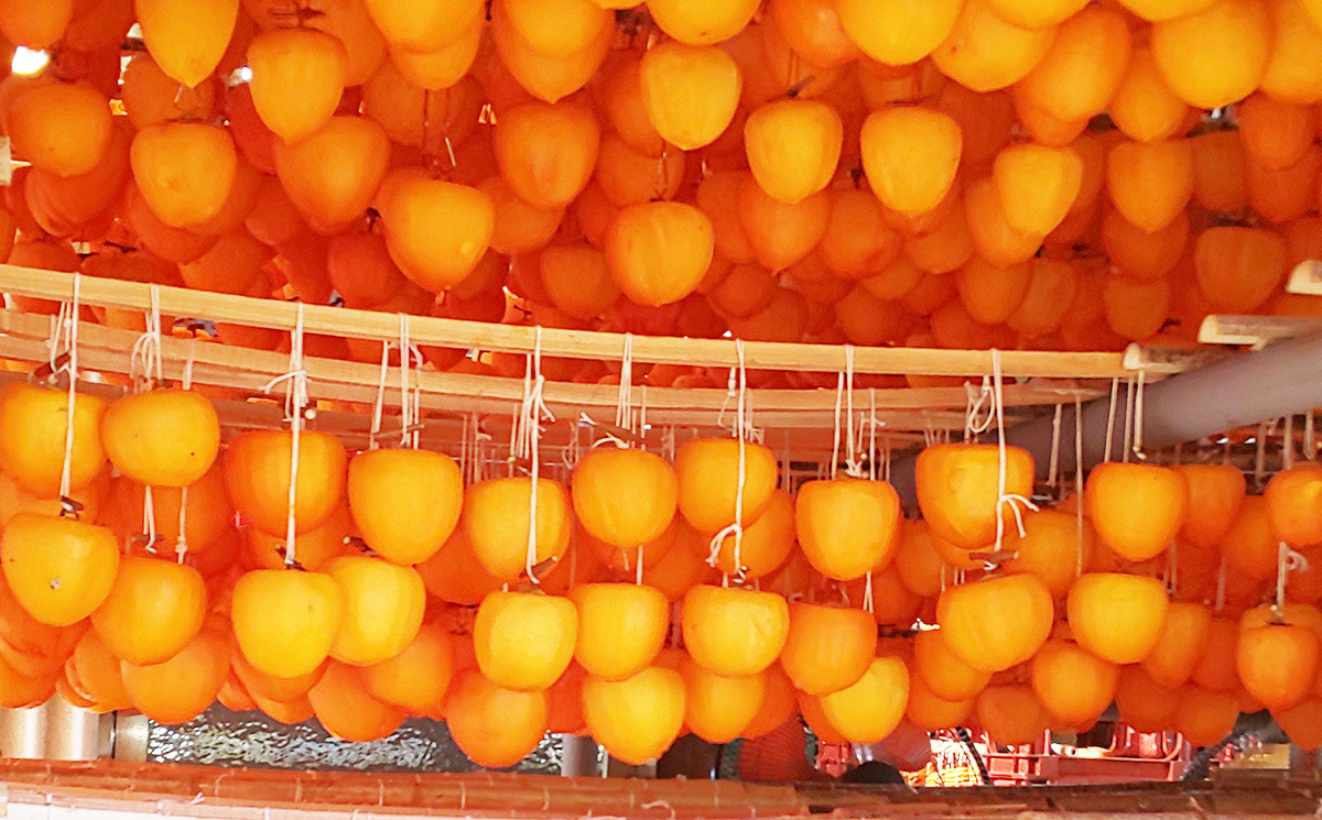 冬の乾燥した風が枯露柿を甘くします。