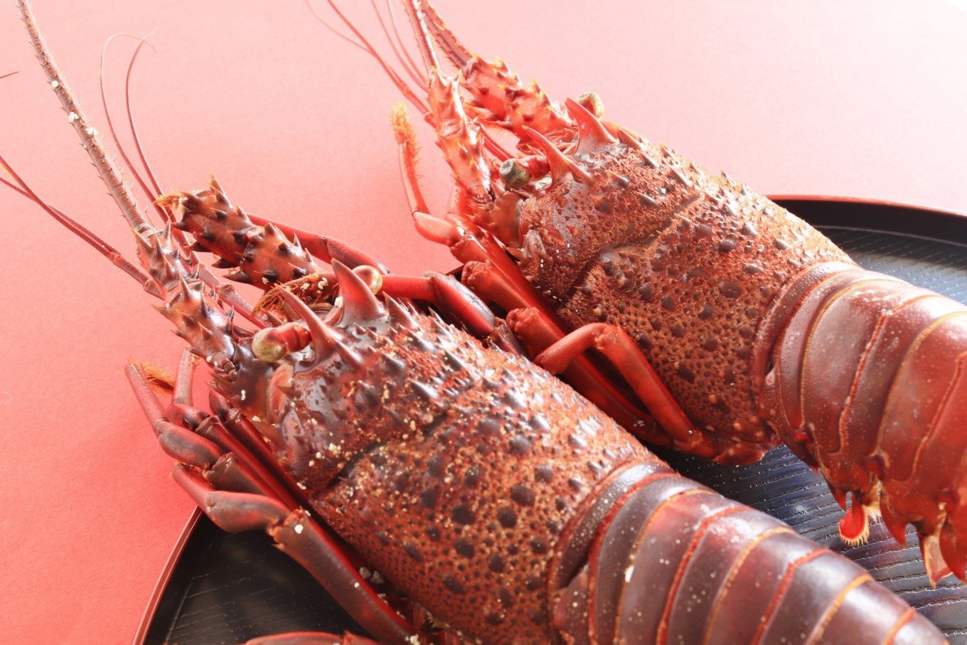 茹でるだけも映える一品に。食卓に彩りを添えてくれます。※写真はイメージです。