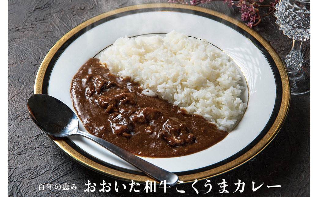 134-677 おおいた 和牛 こくうま カレー 200g×10袋 合計2kg (外箱無) 肉 レトルト セット