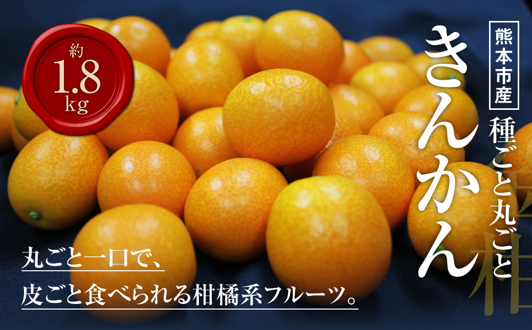 熊本市産 種ごと 丸ごと きんかん 約1.8kg
