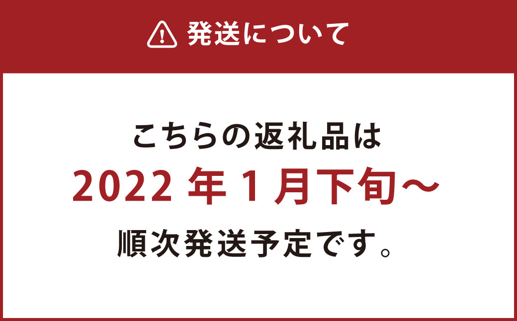 熊本市産 種ごと 丸ごと きんかん 約1.8kg