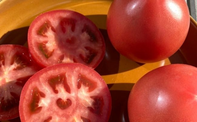 冬から春にかけて、体を温めるおでんの具材に、冬野菜と合わせてトマトスープに。主役級の食べごたえで心もお腹も満たしてくれます。