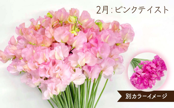 大切なあの人へのギフトにもおすすめ!