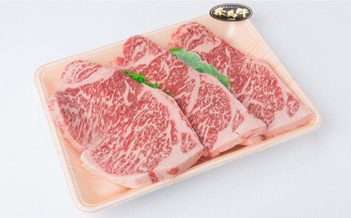 博多 和牛 サーロイン ステーキ 牛肉 焼肉 赤身 国産 黒毛和牛 キャンプ 肉