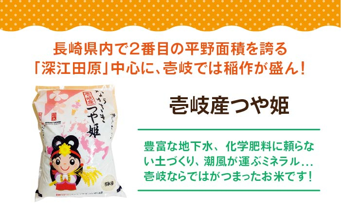 お米 白米 米 白米 ごはん 美味しい おいしい