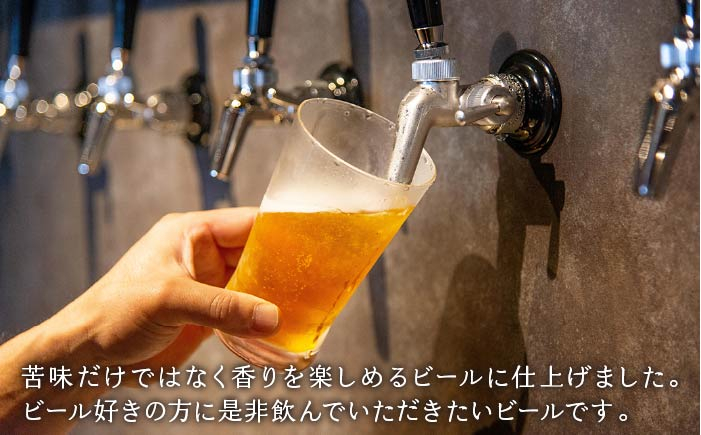 ビール お酒 酒 ビア クラフト セット プレゼント ギフト 贈り物 手土産