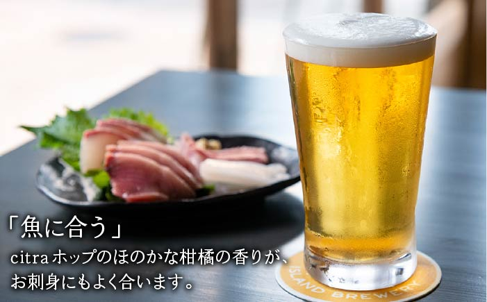 ビール お酒 酒 ビア クラフト セット プレゼント ギフト 贈り物 手土産