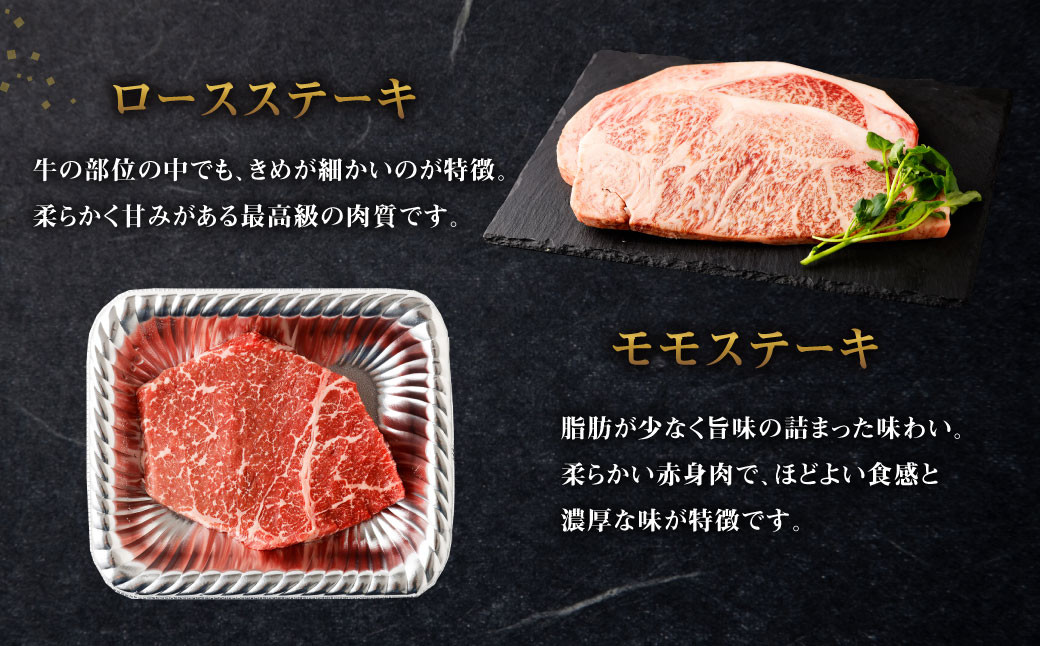 【4回定期便】くまもと黒毛和牛 杉本本店 黒樺牛 A4~A5等級 極上ステーキ食べ比べ 定期コース