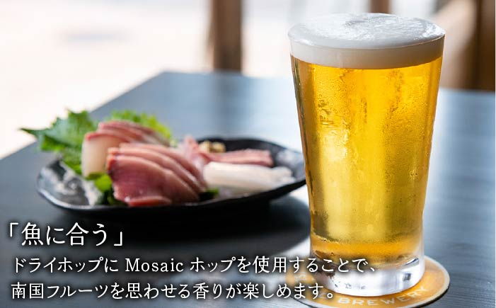 ビール お酒 酒 ビア クラフト セット プレゼント ギフト 贈り物 手土産