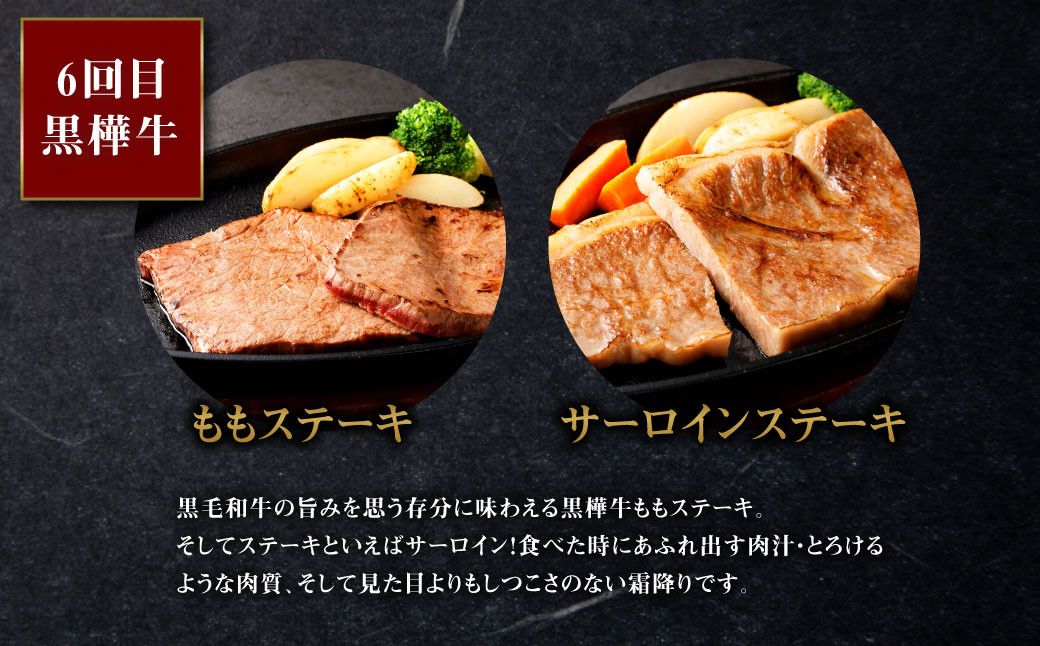 【6回定期便】くまもと黒毛和牛 杉本本店 黒樺牛✕火乃樺馬刺し 厳選 お楽しみ 定期便