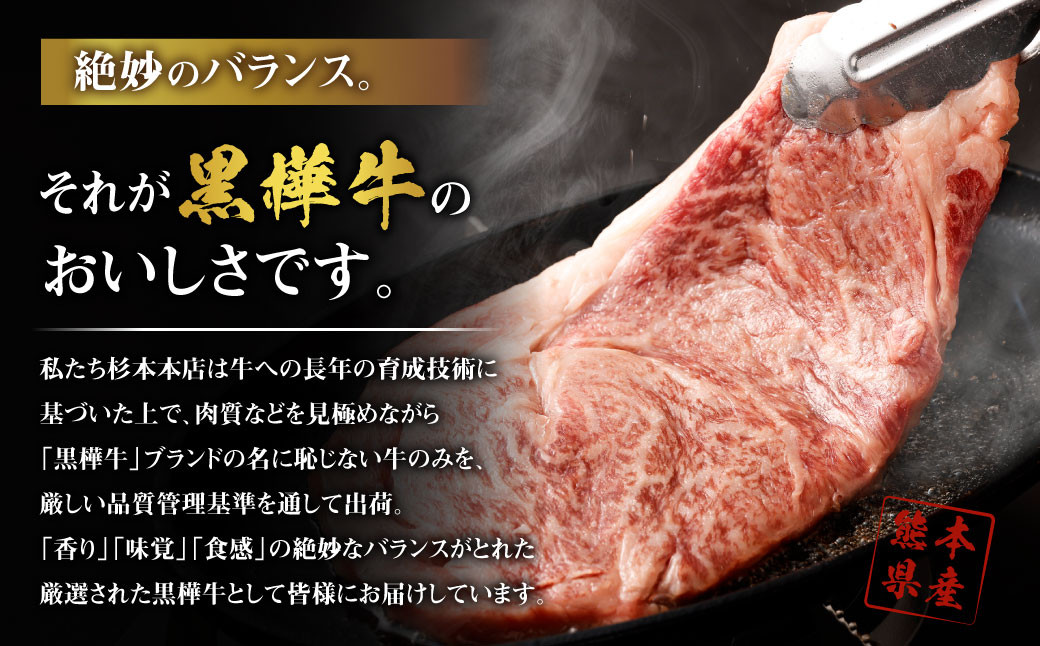 【4回定期便】くまもと黒毛和牛 杉本本店 黒樺牛 A4~A5等級 極上ステーキ食べ比べ 定期コース