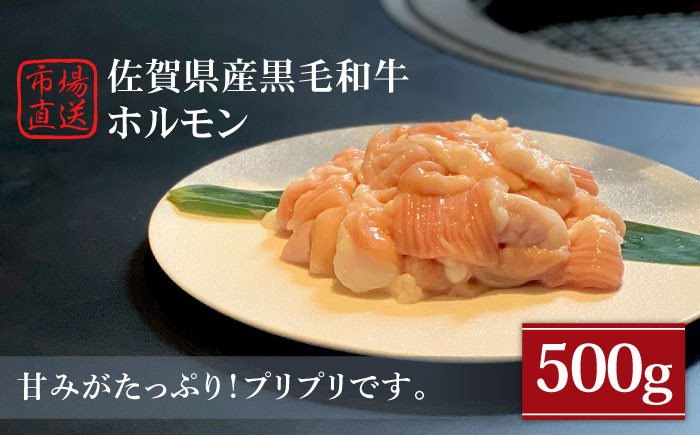 【甘みたっぷりプリプリ食感】佐賀県産黒毛和牛 ホルモン 500g 牛肉 もつ鍋 もつ 黒毛和牛 佐賀