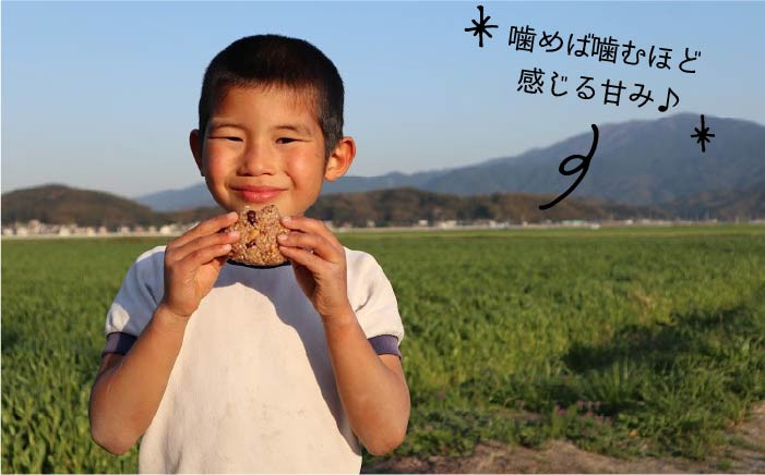 九州 福岡 糸島 お米 栽培期間中 農薬不使用 環境 山林 令和5年産 