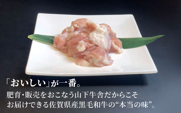 【甘みたっぷりプリプリ食感】佐賀県産黒毛和牛 ホルモン 500g 牛肉 もつ鍋 もつ 黒毛和牛 佐賀