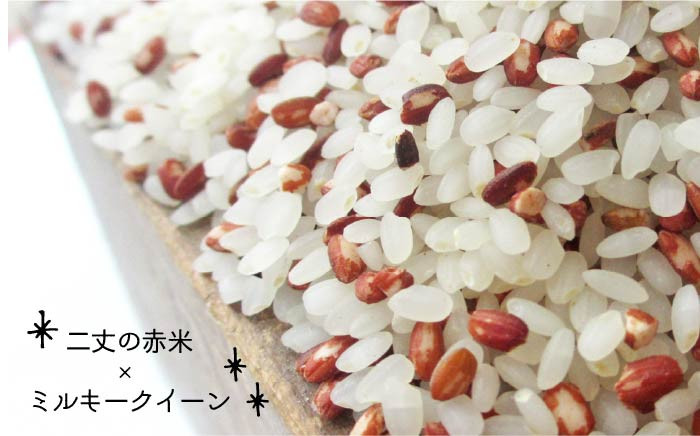 我が子に食べさせたいお米。