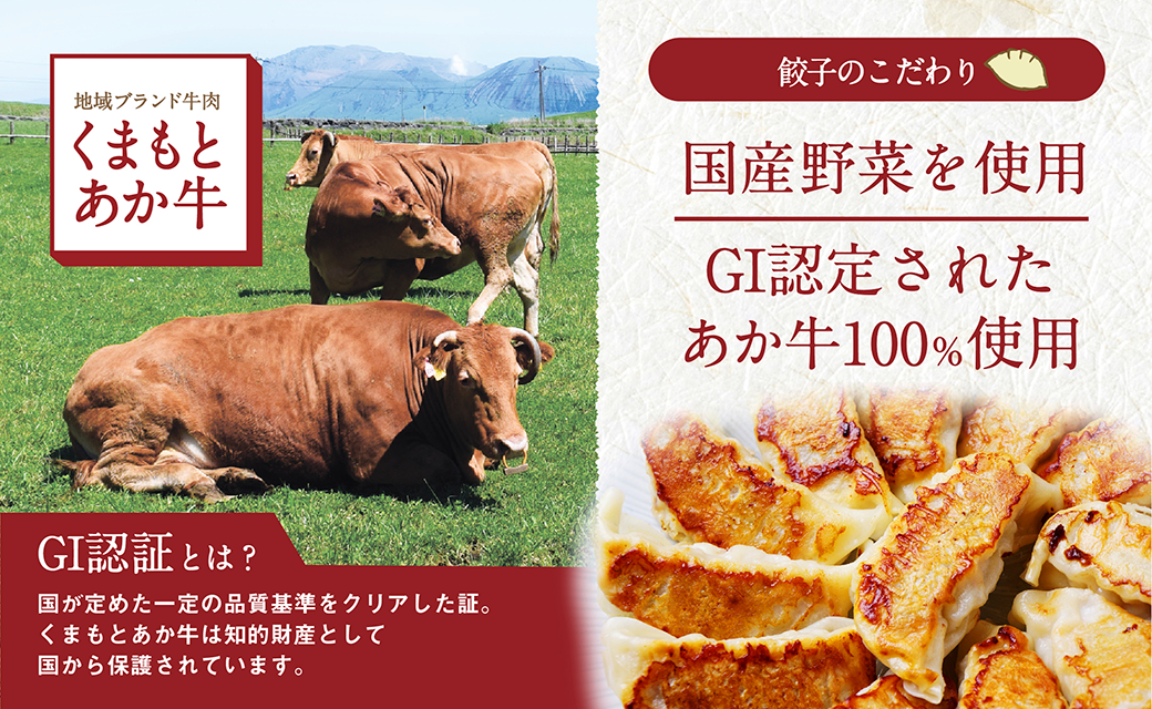 GI認証 くまもと あか牛 100％ 餃子 60個 20個入り×3