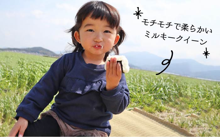 九州 福岡 糸島 米 お米 ご飯 栽培期間中 農薬不使用 10キロ