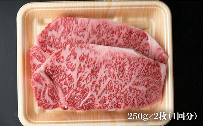  ステーキ 肉 牛肉 和牛 国産和牛 ステーキ肉  