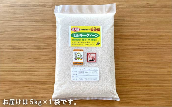 九州 福岡 糸島 米 お米 ご飯 栽培期間中 農薬不使用 5キロ