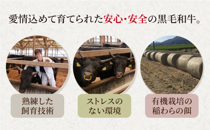 【甘みたっぷりプリプリ食感】佐賀県産黒毛和牛 ホルモン 500g 牛肉 もつ鍋 もつ 黒毛和牛 佐賀