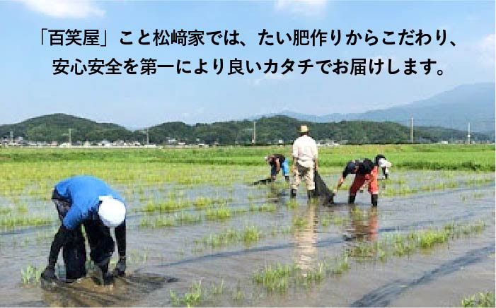 九州 福岡 糸島 米 お米 ご飯 栽培期間中 農薬不使用 5キロ