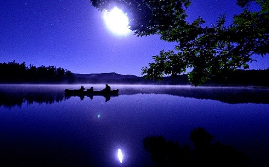 忘れられない特別な夜を