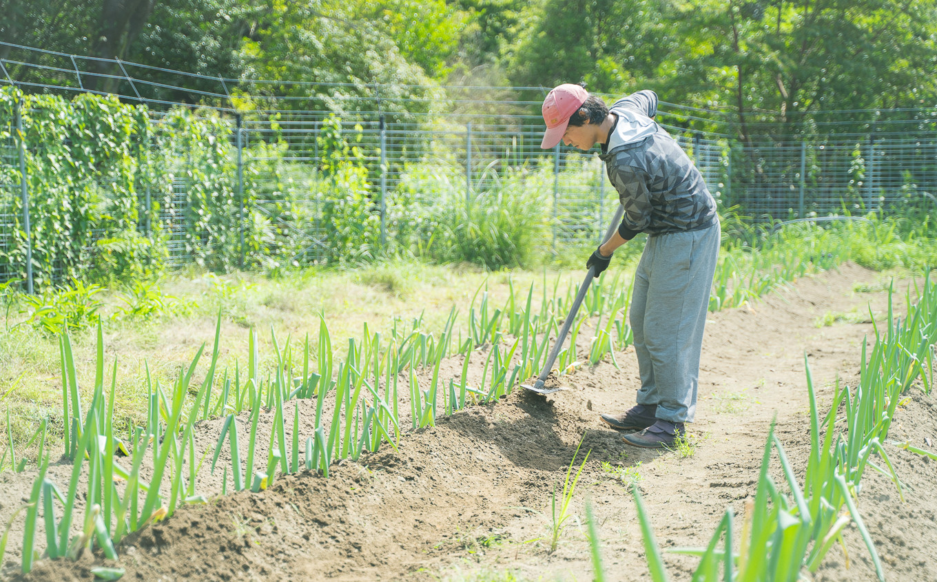 尾鷲市三木里地区の「耕作放棄地」を再利用
農薬不使用・植物性自然肥料を使用して育てた野菜です。