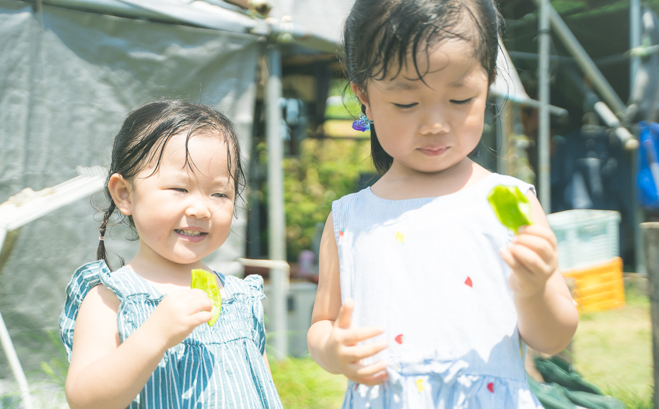 イヤな匂いのしない植物性天然肥料を使用
苦味や青臭さといった野菜特有の雑味が少なく、繊細な子供達にも「美味しい！」と評判